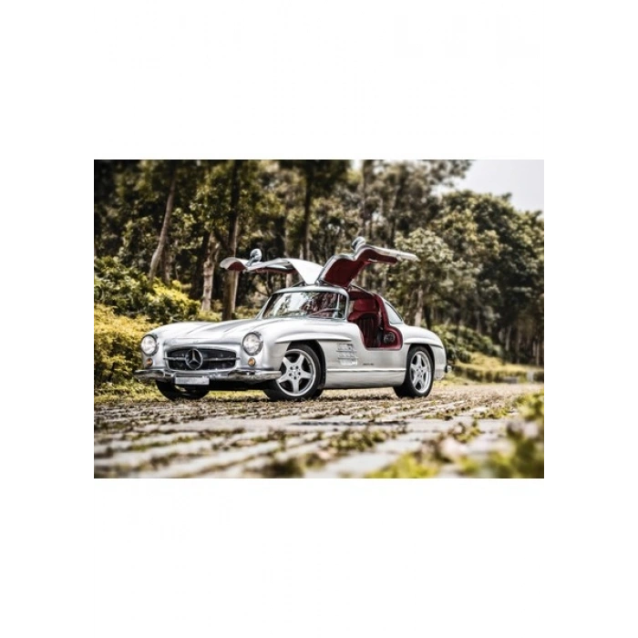 KS Games 300 Sl Gulwing 1000 Parça Puzzle