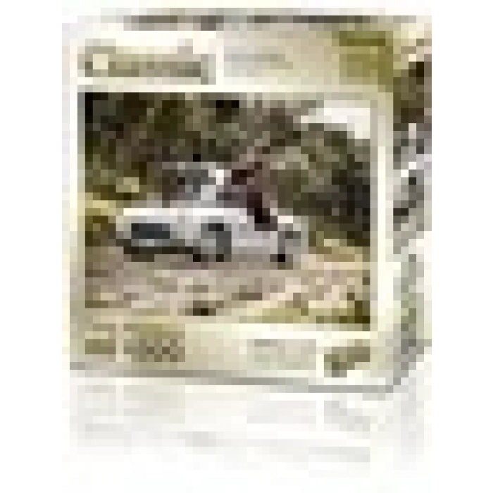 KS Games 300 Sl Gulwing 1000 Parça Puzzle