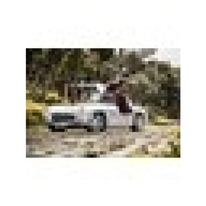 KS Games 300 Sl Gulwing 1000 Parça Puzzle