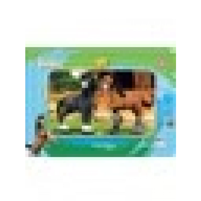 KS Games Doru 24 Parça Frame Puzzle DORU704