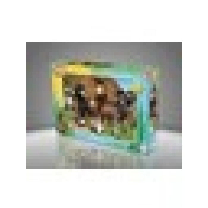 KS Games Doru 50 Parça Puzzle