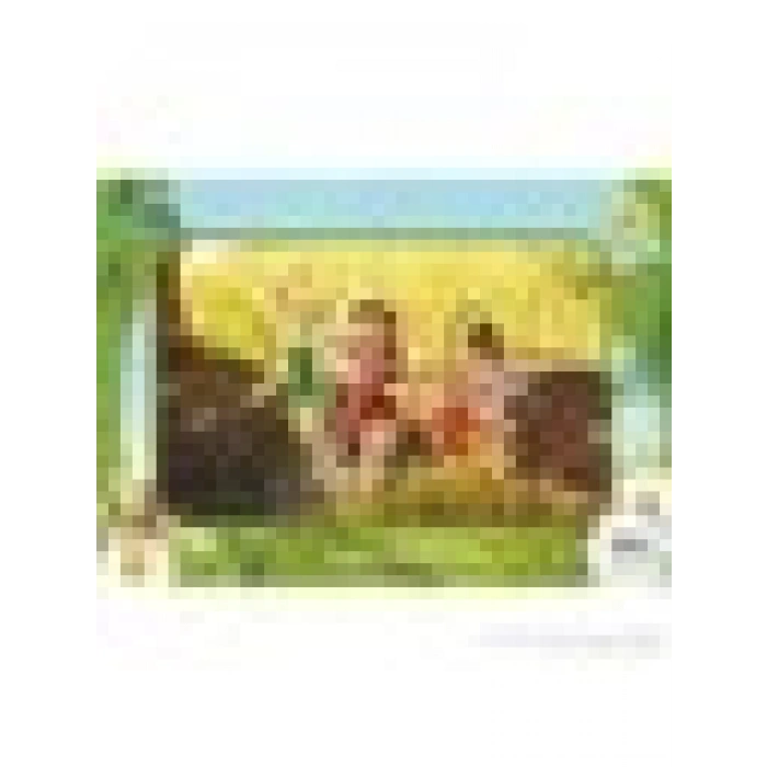 KS Games Fairies - Frame Puzzle (Yapboz) 24 Parça