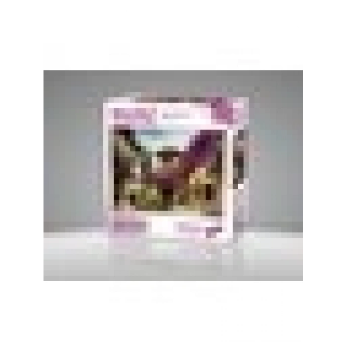 KS Games Flowered Village House 500 Parça Puzzle