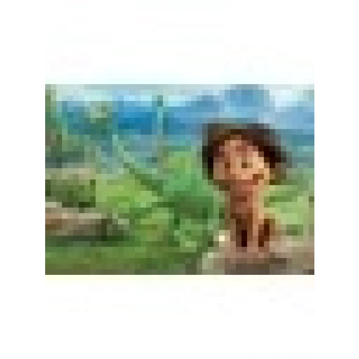 KS Games GD 709 Lion King Frame Puzzle 50 Parça