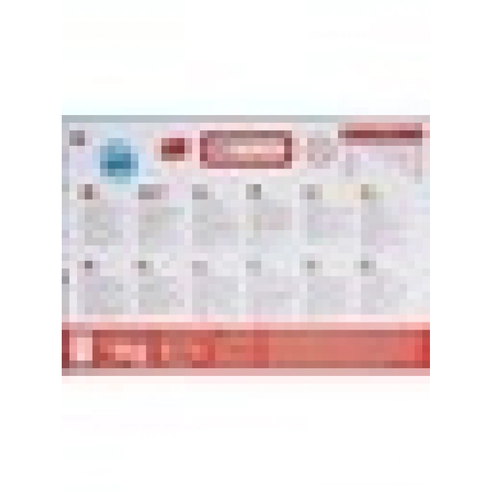 KS Games Princes Prensesler Frame Puzzle 24Lü PR-704