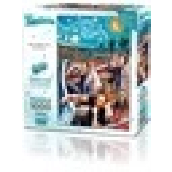 Ks Games Starry Night Of Art 1000 Parça Puzzle