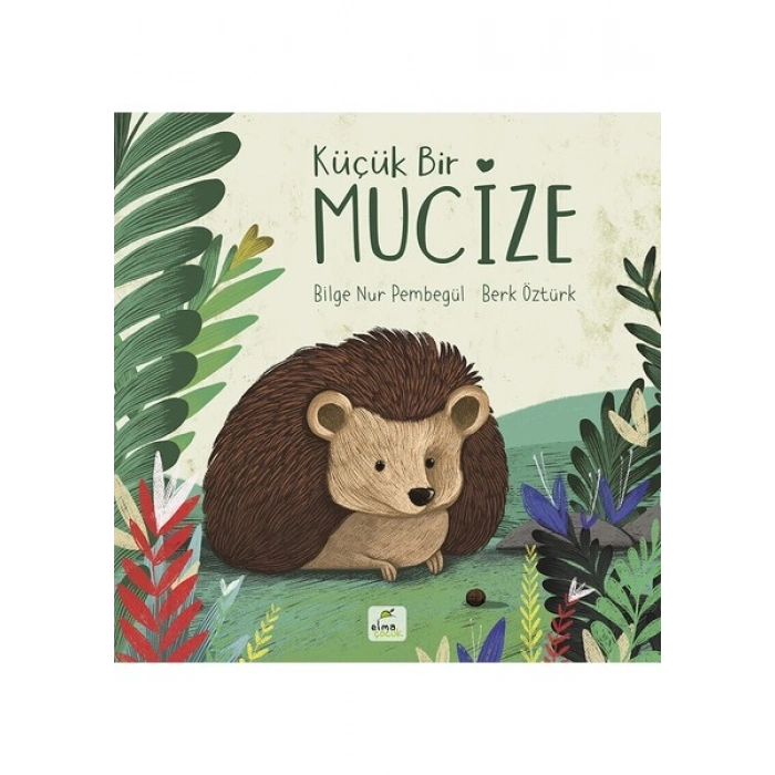 Küçük Bir Mucize - Bilge Nur Pembegül