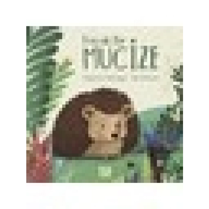 Küçük Bir Mucize - Bilge Nur Pembegül
