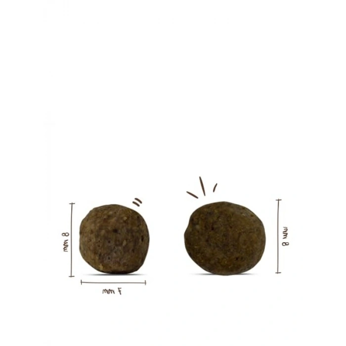 Küçük Irk Köpekler İçin 2,5 kg Kuru Mama, 15 kga Kadar