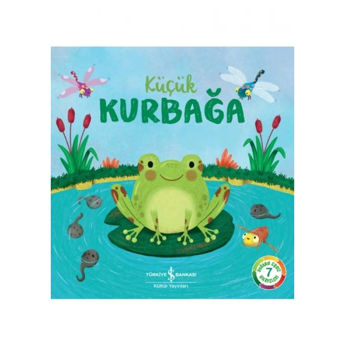 Küçük Kurbağa