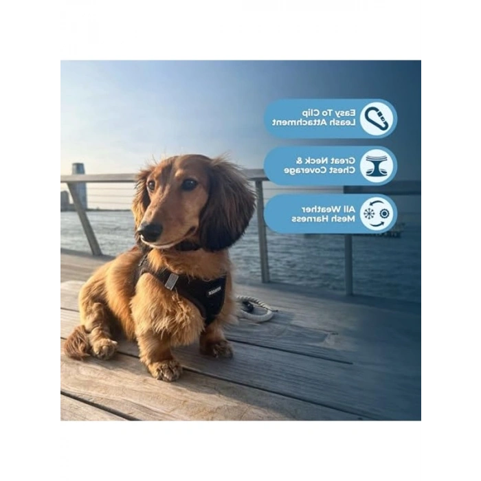Küçük ve Orta Ölçekli Köpekler İçin Yelek, Hava Mesh, L Beden