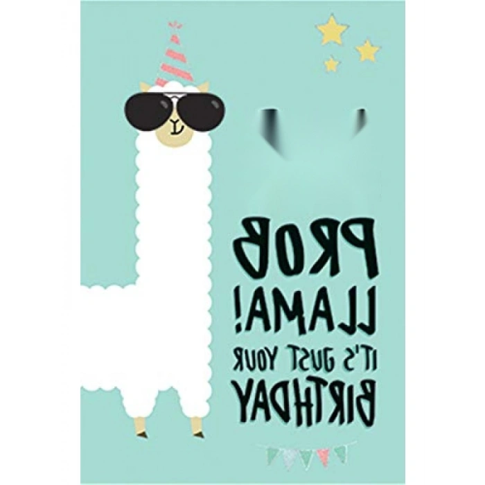 Kullanım Kolaylığı Sunan No Problema Kartı - 11,5x17 cm