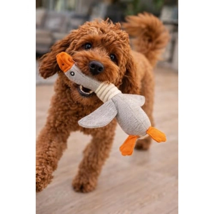 Kumaş Köpek Oyuncağı - Sevimli Ördek Şekilli, Dayanıklı Tasarım