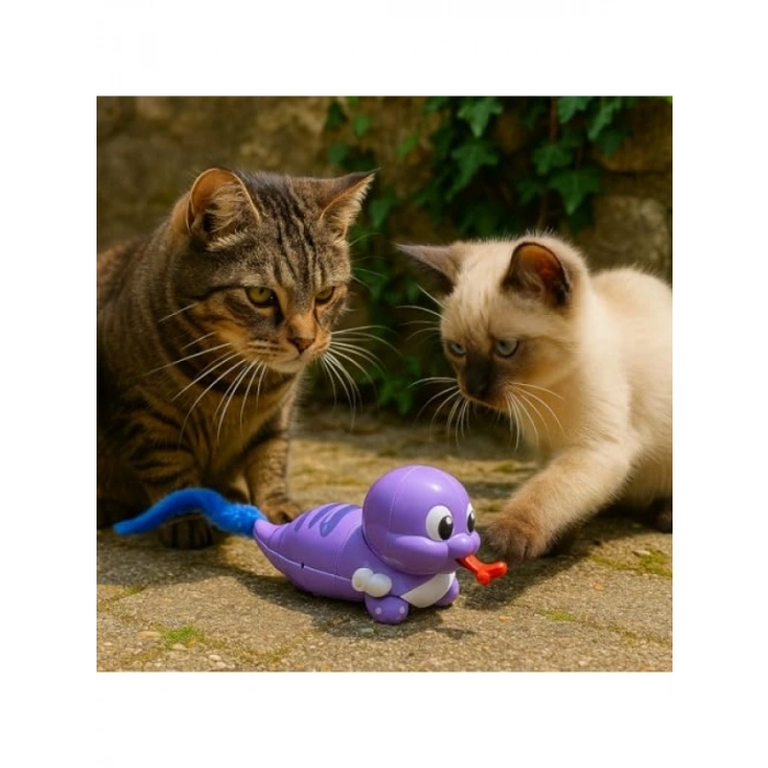 Kurmalı Hareketli Salyangoz Kedi Oyuncağı