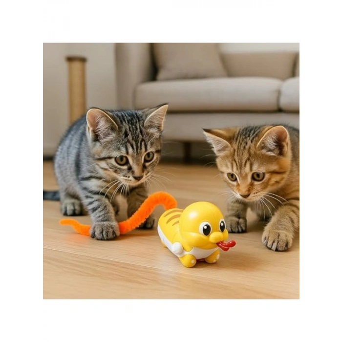 Kurmalı Hareketli Salyangoz Oyuncağı; Tüylü Kuyruklu Kedi Eğlencesi
