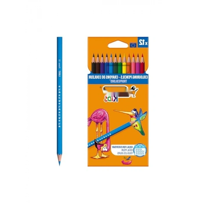 Kuru Boya Kalemi 12 Renk, Kıymık Oluşturmaz, Dayanıklı