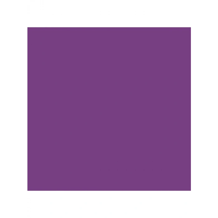 Kuru Boya Seti - Albrecht Dürer VIOLET 8200-160