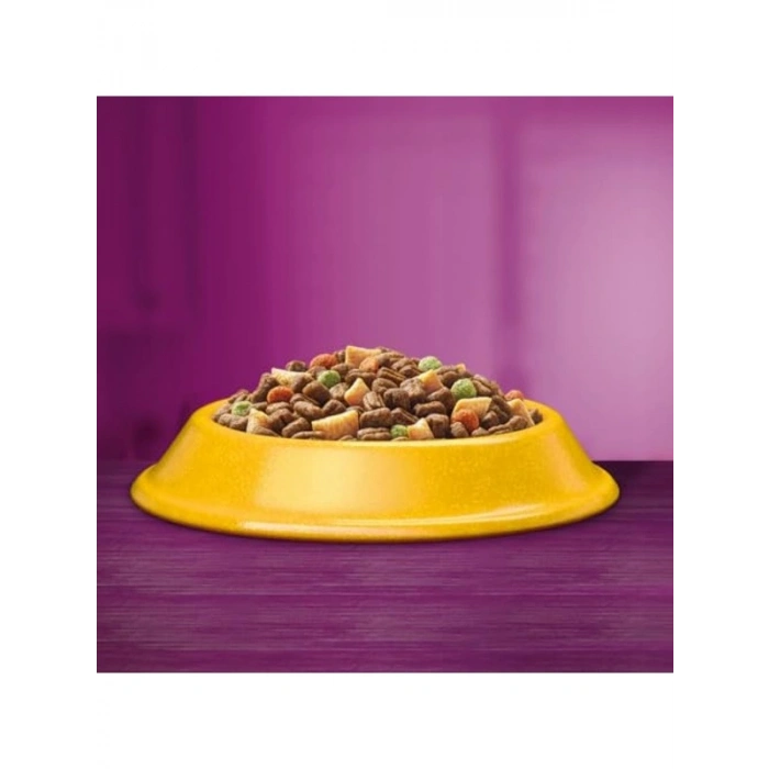 Kuru Kedi Maması, Tavuklu, 14 Kg