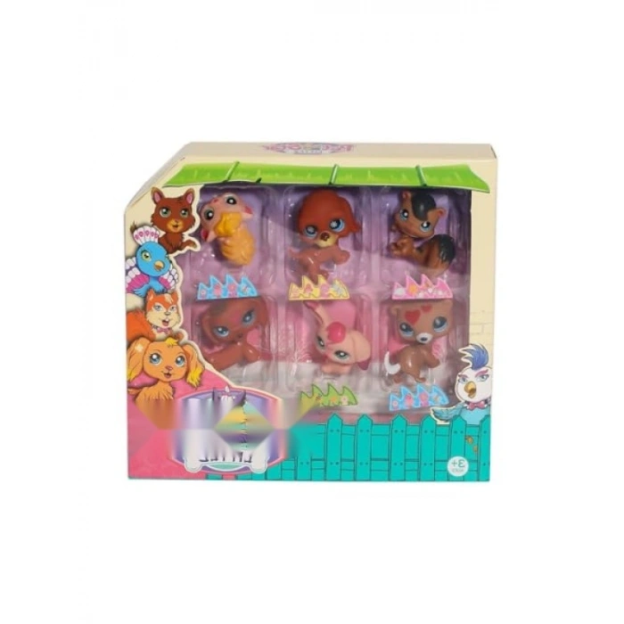 Kuru Yem Ürünü, 6lı Paket