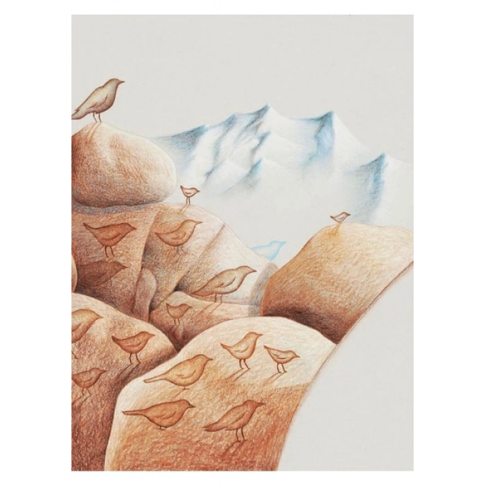 Kuş Masalları - Şermin Yaşar