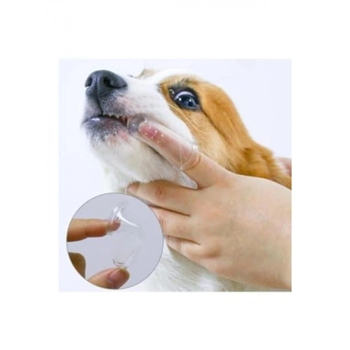 Kutulu Kedi ve Köpek Diş Fırçası