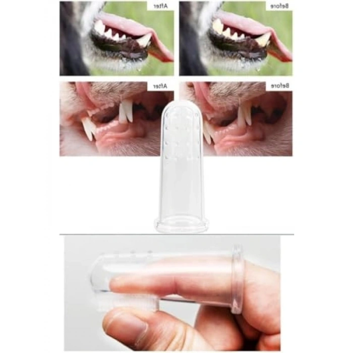 Kutulu Kedi ve Köpek Diş Fırçası