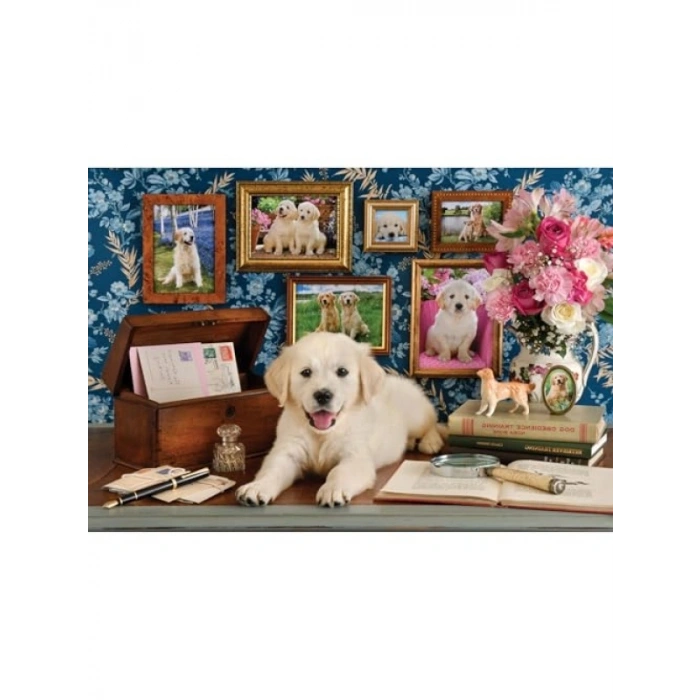 Labrador Temalı 500 Parça Puzzle