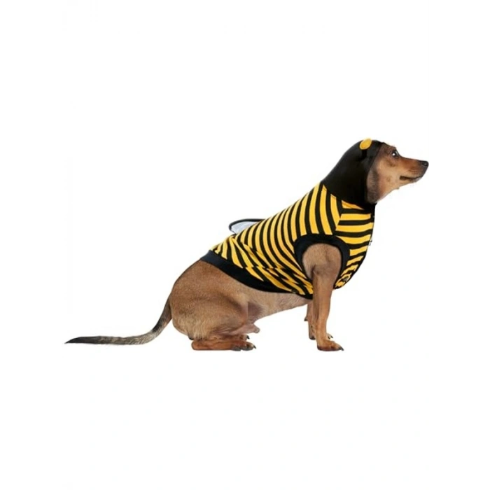 Large Beden Evcil Hayvan Kostümü ile Eğlenceli Giysi