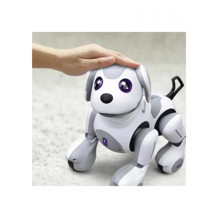 Learning Fun Uzaktan Kumandalı Şarjlı Akıllı Programlanabilir Hareket Sensörlü Robot Köpek