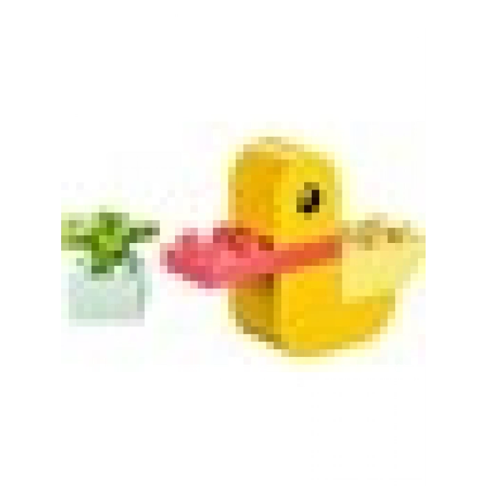 LEGO Duplo My First Duck