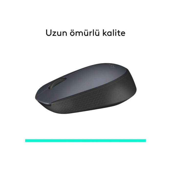 Logitech M170 2,4 Ghz 1000Dpı 3 Tuş Optik Kablosuz Mouse