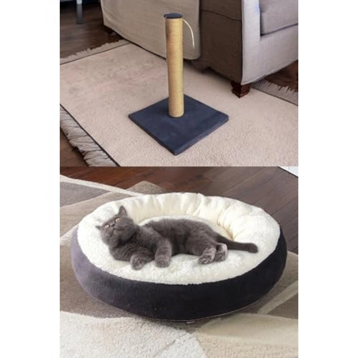 Lüks Kedi Başlangıç Seti, Kapalı Tuvalet ve Taşıma Sepeti