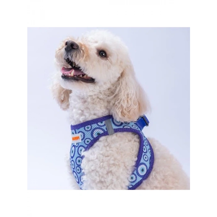 M Boyutunda Air-Mesh Charm Köpek Göğüs Tasması