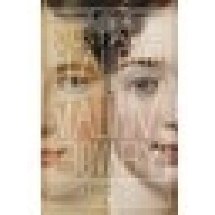 Madam Bovary - Gustave Flaubert