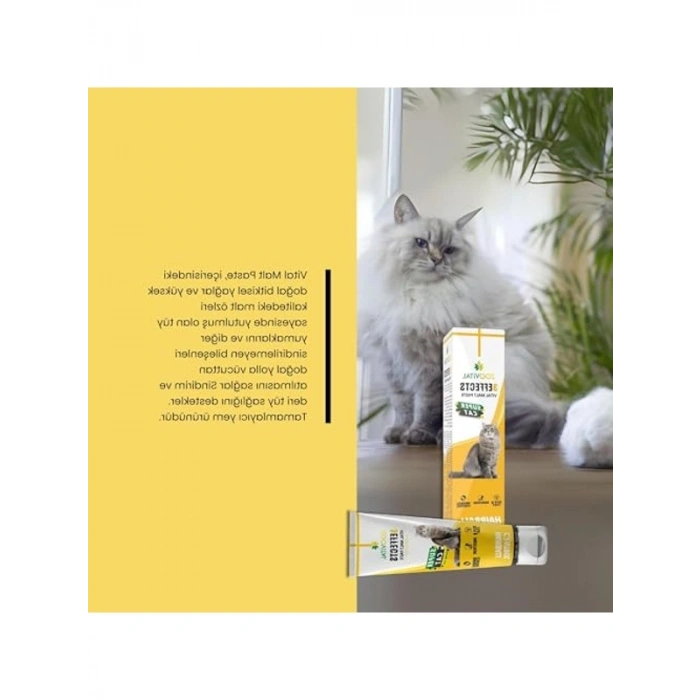 Malt Macunu Kedi Tüy Yumağı Önleyici 100 Gr