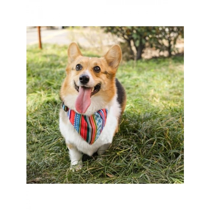 Mavi Çizgili Bandana Yaka (Orta Boy)