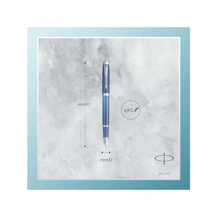 Mavi Dolma Kalem, Profesyonel Yazım Deneyimi