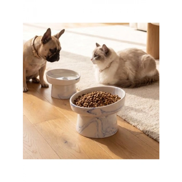 Mavi Ergonomik Seramik Kedi ve Köpek Kabı - Yükseltilmiş Tasarım