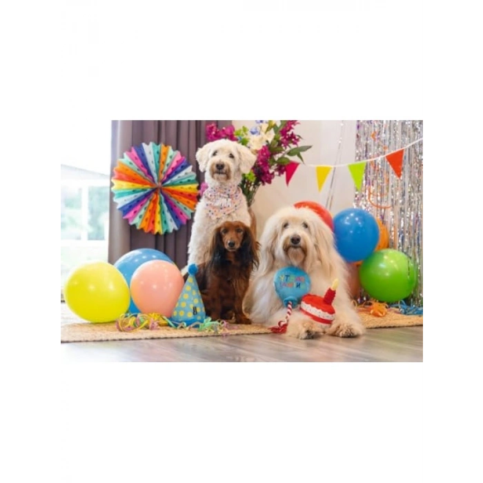 Mavi Peluş Şapka Köpek Oyuncağı, 22x14x14 cm