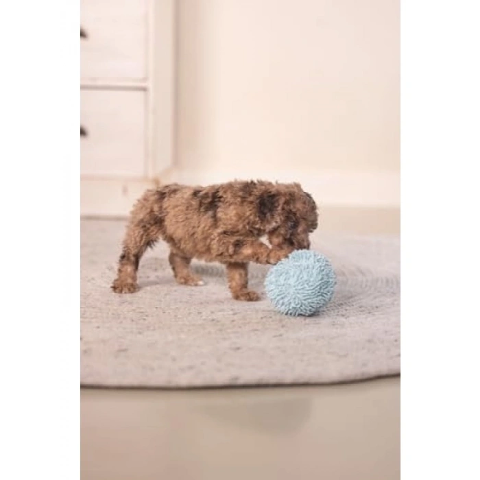 Mavi Peluş Top Oyuncak, Yavru Köpekler İçin, 10cm