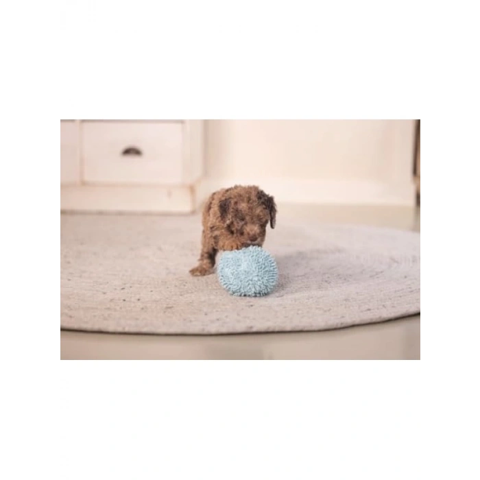 Mavi Peluş Top Oyuncak, Yavru Köpekler İçin, 10cm