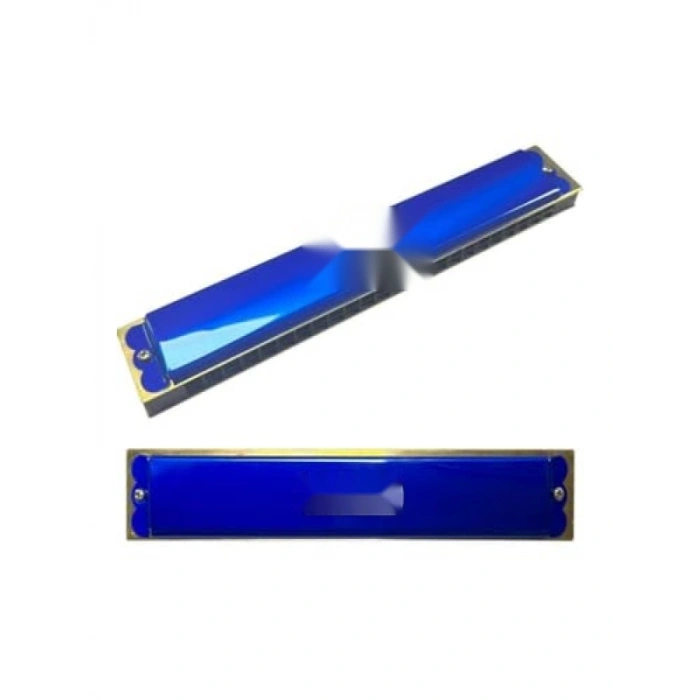 Mavi Renkli 24 Delikli Profesyonel Mızıka