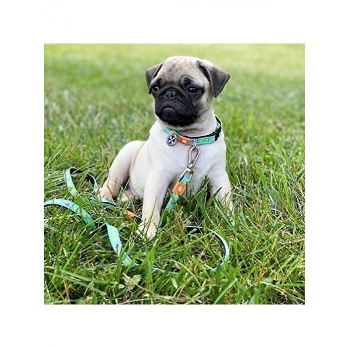 Max & Molly Urban Pets Original Serisi Akıllı Künyeli Köpek Boyun Tasması (M, Ördek)