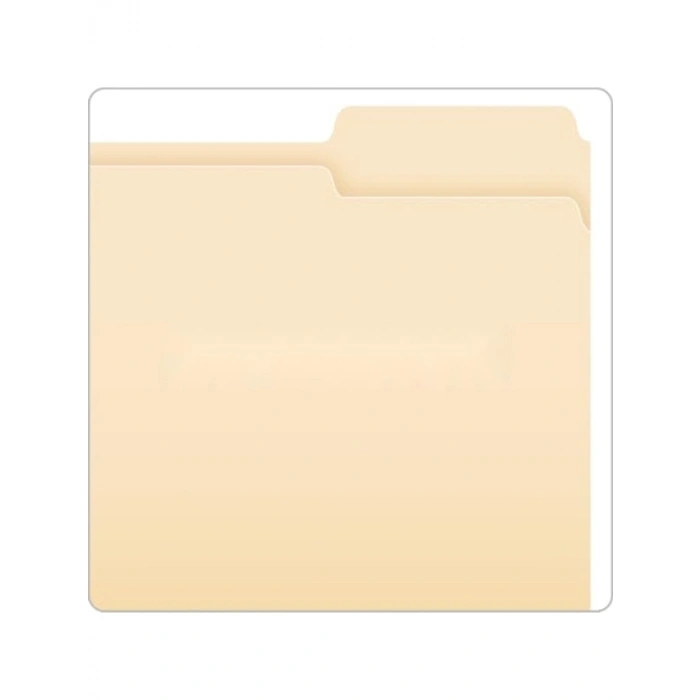 Mektup Boyutu 1/3 Kesim Dosya Klasörü - 250 Adet