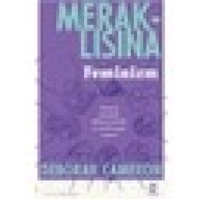 Meraklısına Feminizm