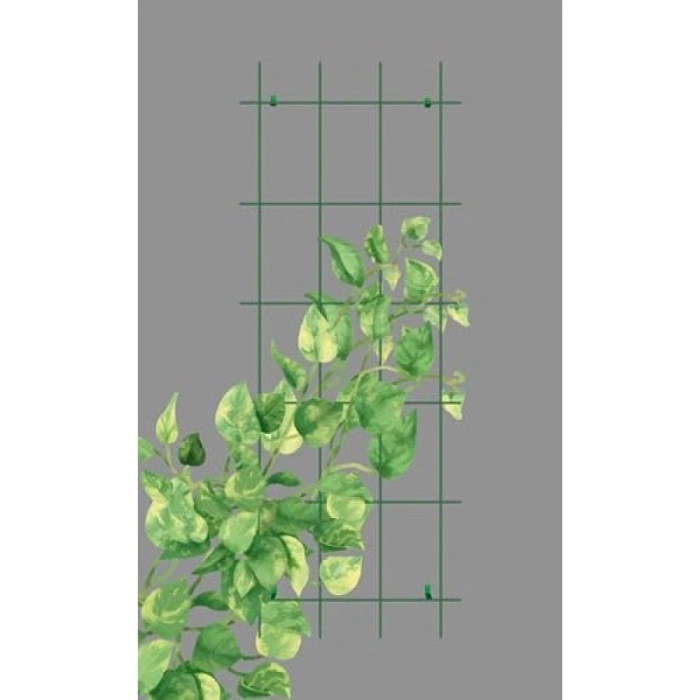 Metal Tırmanma Kafesi - Sarmaşık Bitkilere Özel