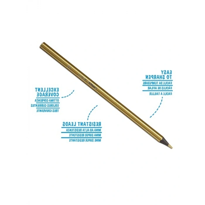 Metalik Kuru Boya Seti (12li)