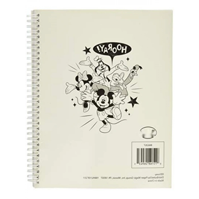 Mickey Mouse Temalı Ders Plan Defteri, 40 Haftalık