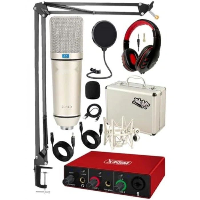 Mikrofon ve Stüdyo Ses Kartı Seti