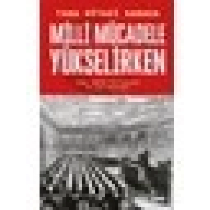 Milli Mücadele Yükselirken - Taha Niyazi Karaca
